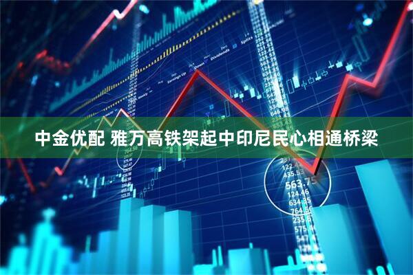中金优配 雅万高铁架起中印尼民心相通桥梁