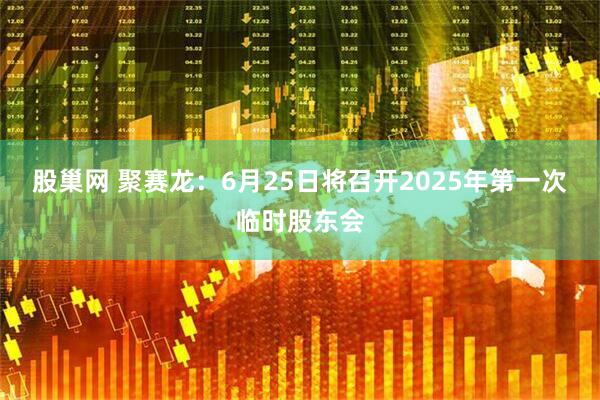 股巢网 聚赛龙：6月25日将召开2025年第一次临时股东会
