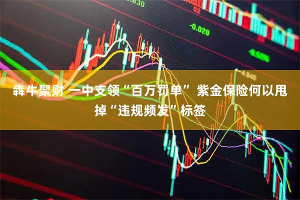 犇牛聚财 一中支领“百万罚单” 紫金保险何以甩掉“违规频发”标签
