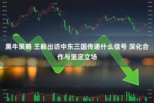 黑牛策略 王毅出访中东三国传递什么信号 深化合作与坚定立场