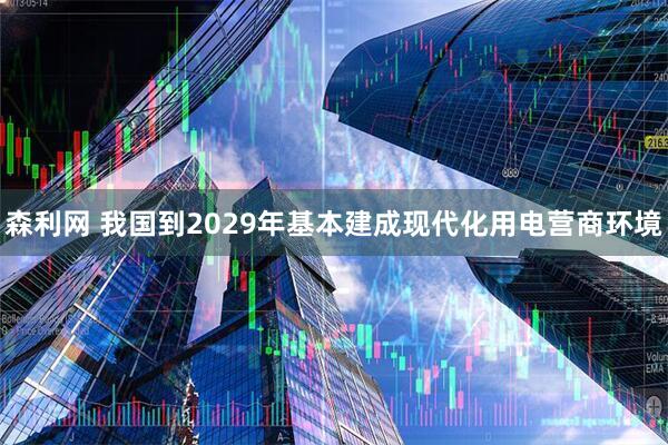 森利网 我国到2029年基本建成现代化用电营商环境