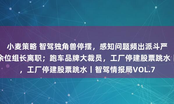 小麦策略 智驾独角兽停摆，感知问题频出派斗严重；新势力智驾十余位组长离职；跑车品牌大裁员，工厂停建股票跳水丨智驾情报局VOL.7