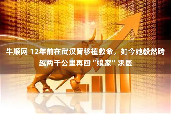 牛顺网 12年前在武汉肾移植救命,如今她毅然跨越两千公里再回“娘家”求医